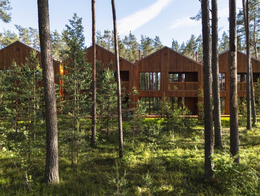 Tammepärja ridaelamud